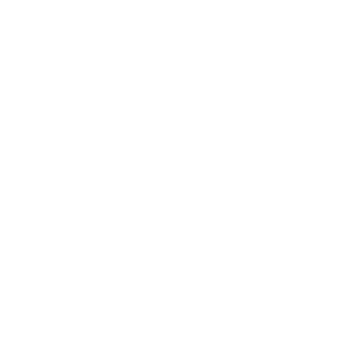 Dewish Team